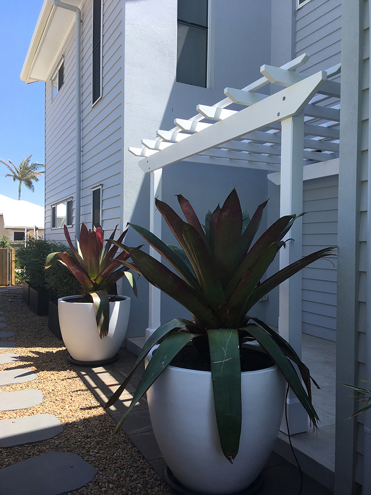 Nestled into this entrance is a new White Painted Pergola.
