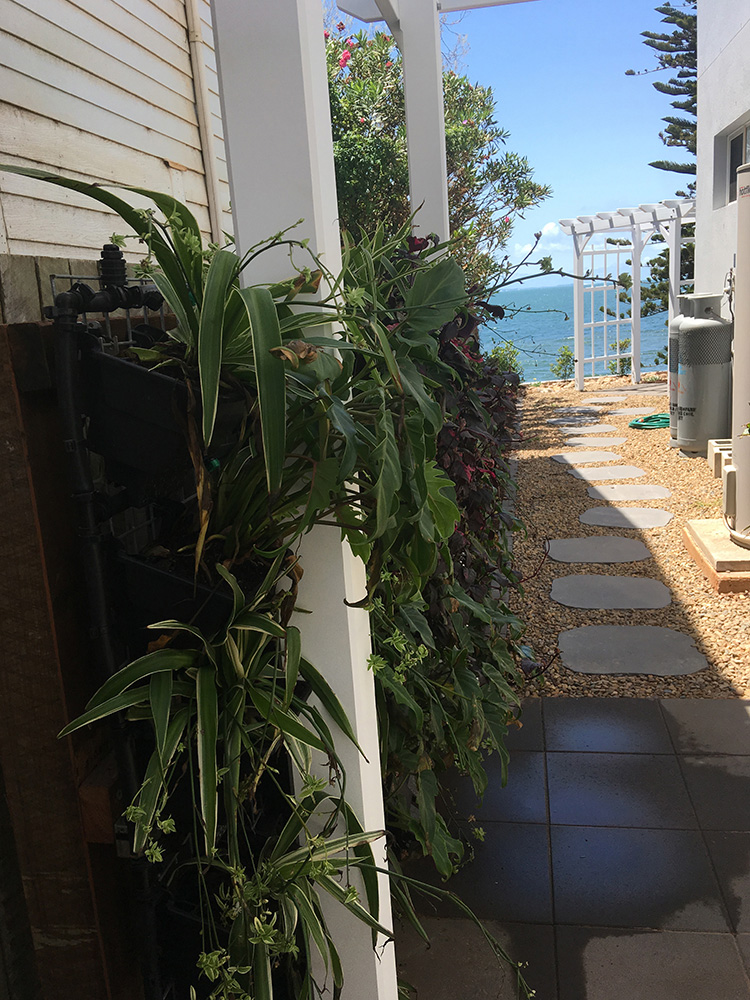 White Entrance pergola looking towards the front of the house following the path to the Arbour.