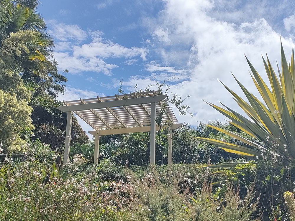 Traditional Timber Pergola 3 x 3.3 m in a garden setting.